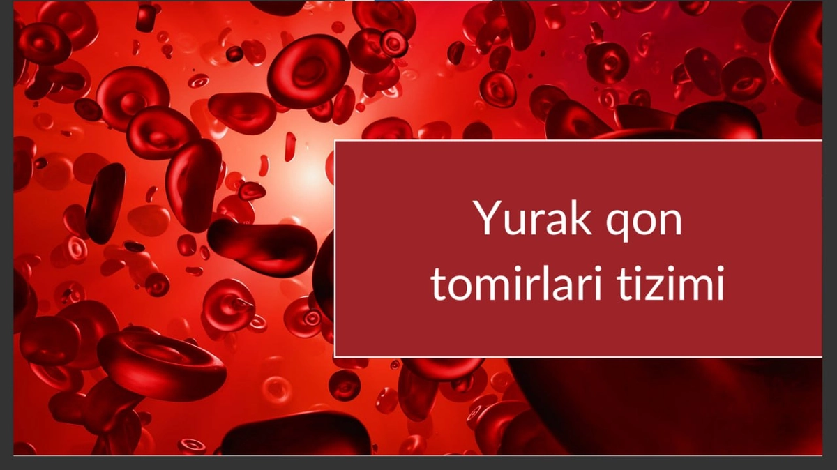 Yurak qon tomirlar tizimi