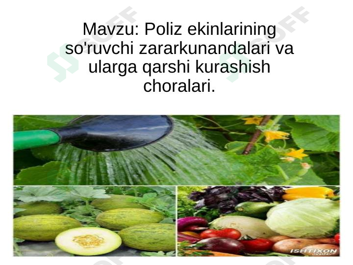 sellerImage