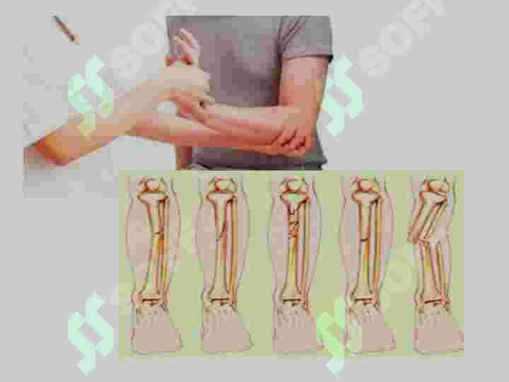 sellerImage