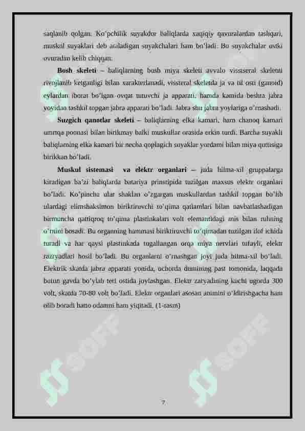 sellerImage
