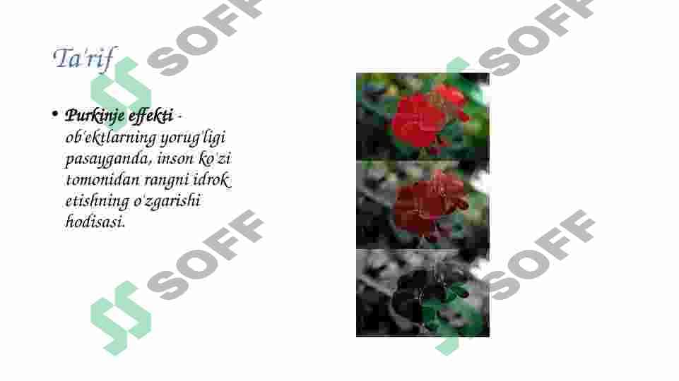 sellerImage