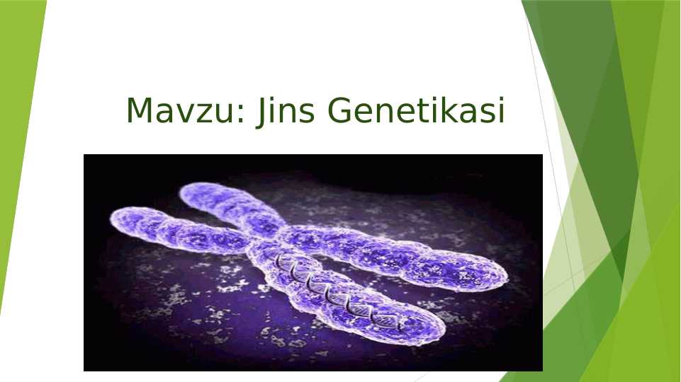 Jins Genetikasi
