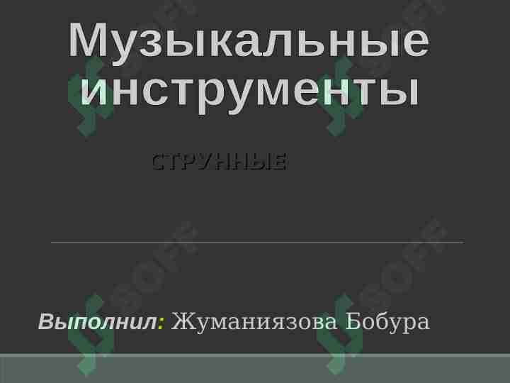 Музыкальные  инструменты