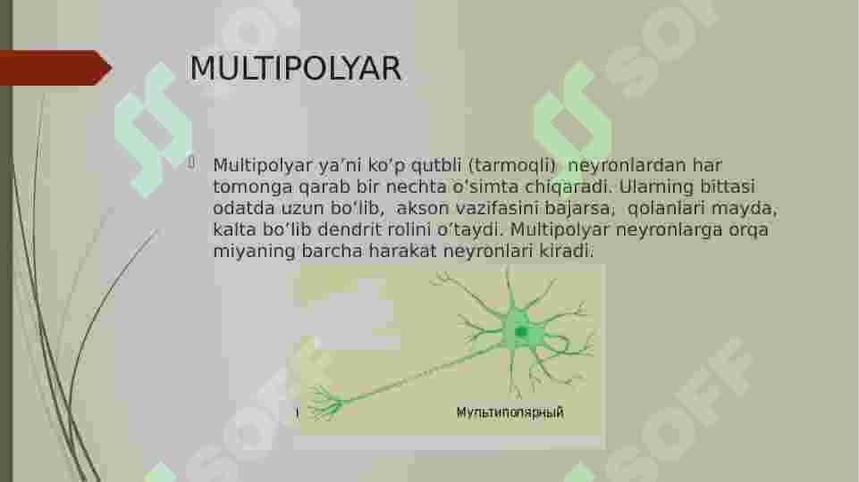 sellerImage