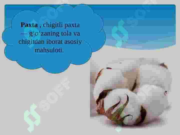 sellerImage
