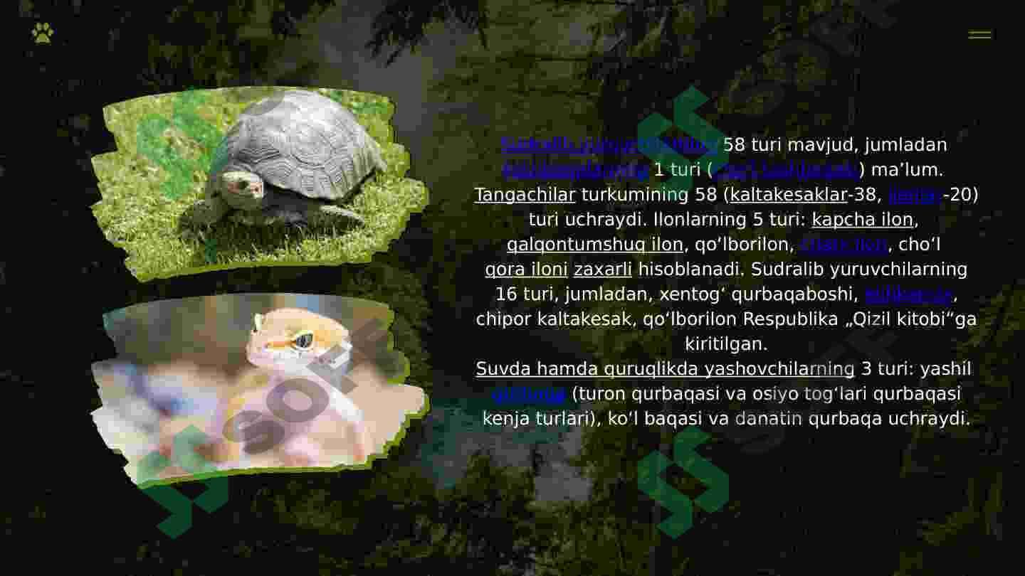 sellerImage