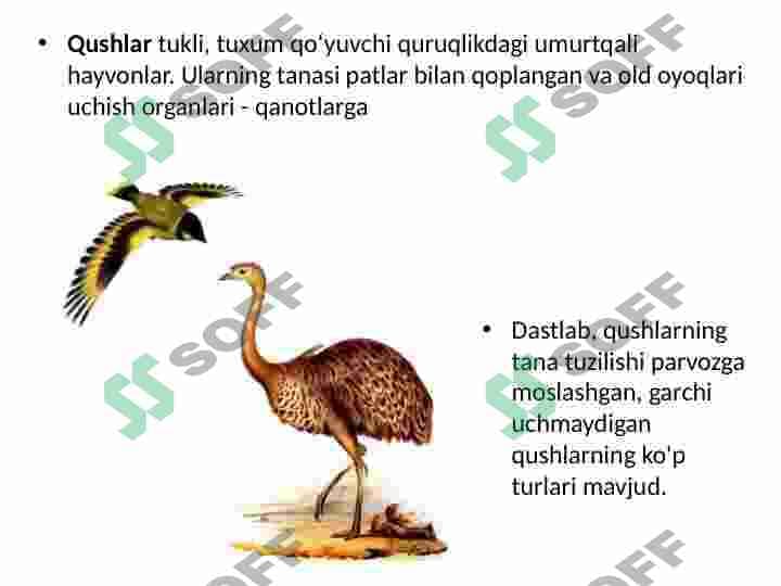 sellerImage