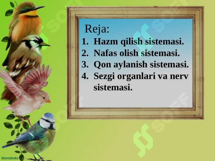 sellerImage