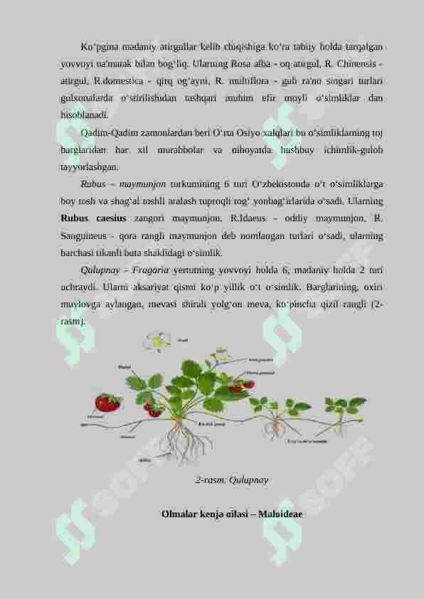 sellerImage