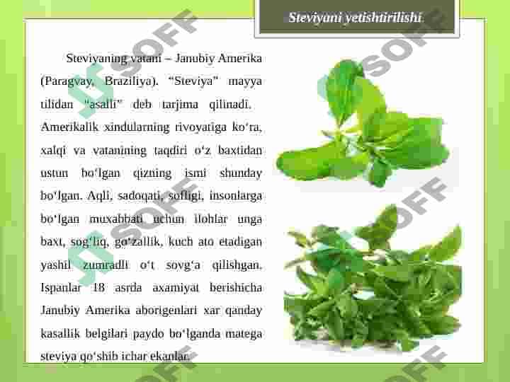 sellerImage