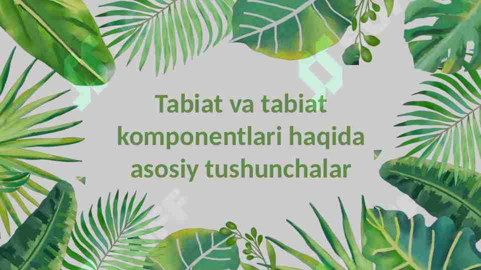 Tabiat va tabiat komponentlari haqida asosiy tushunchalar