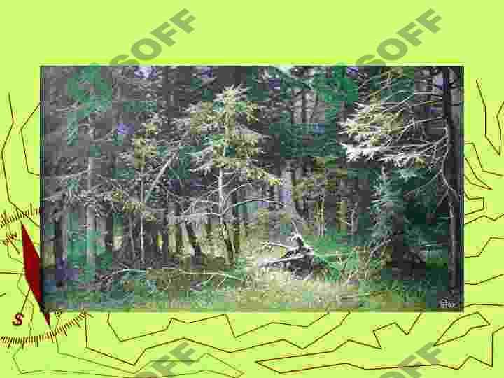 sellerImage