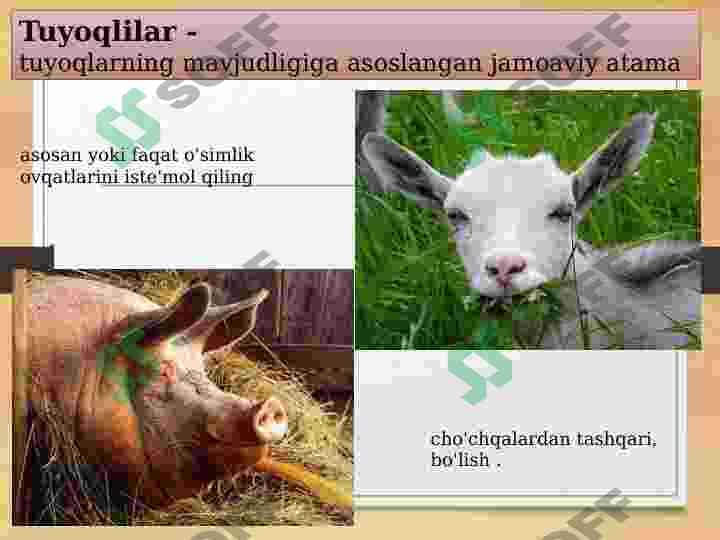 sellerImage