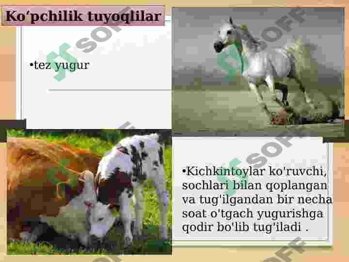 sellerImage