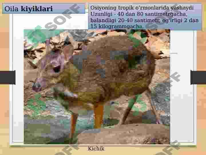 sellerImage