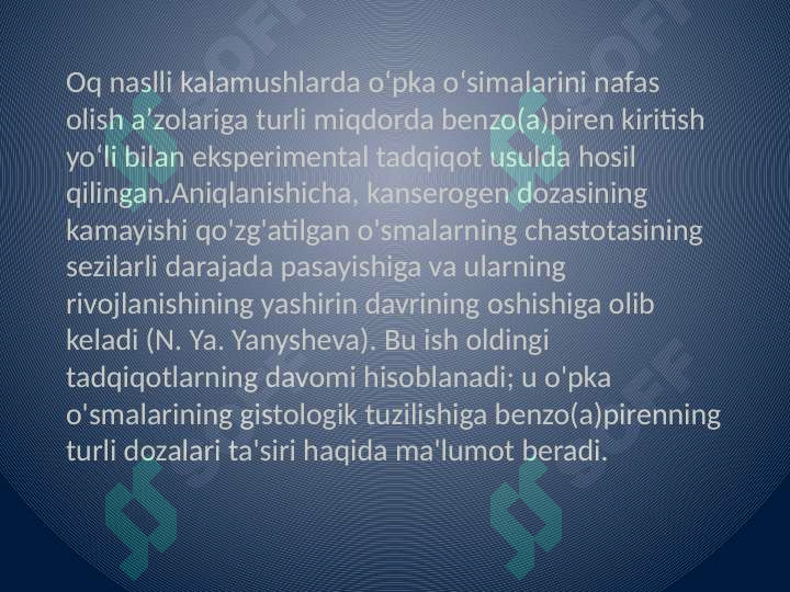 sellerImage