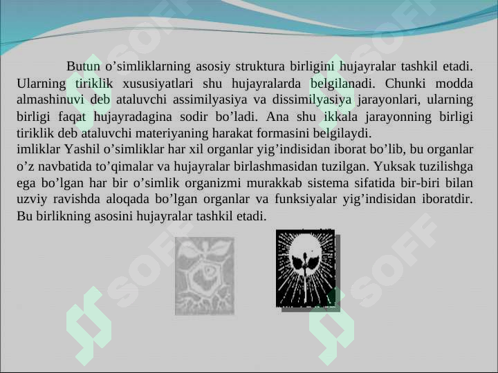sellerImage