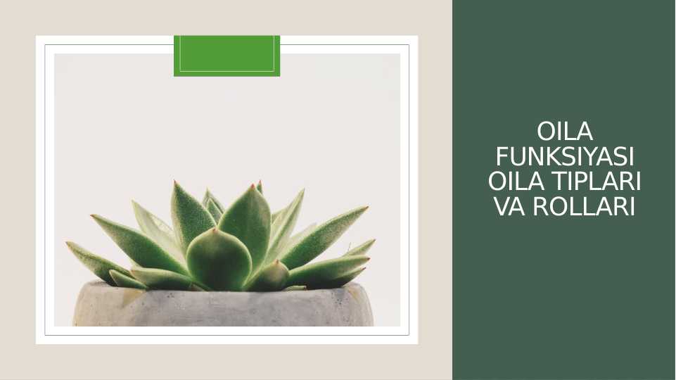 Oila funksiyasi, oila tiplari va rollari