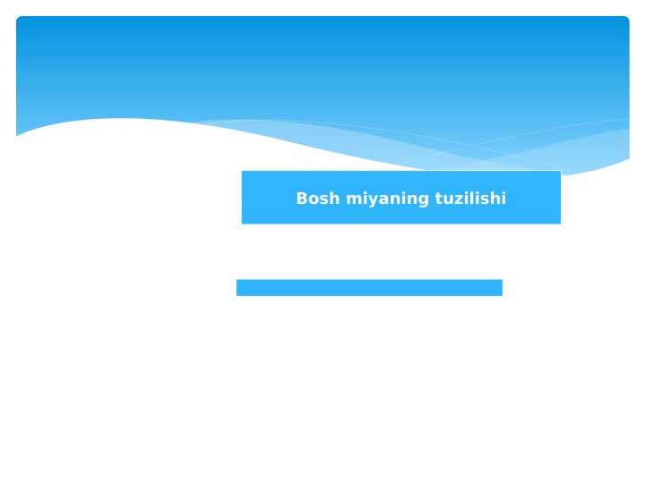 Bosh miyaning tuzilishi