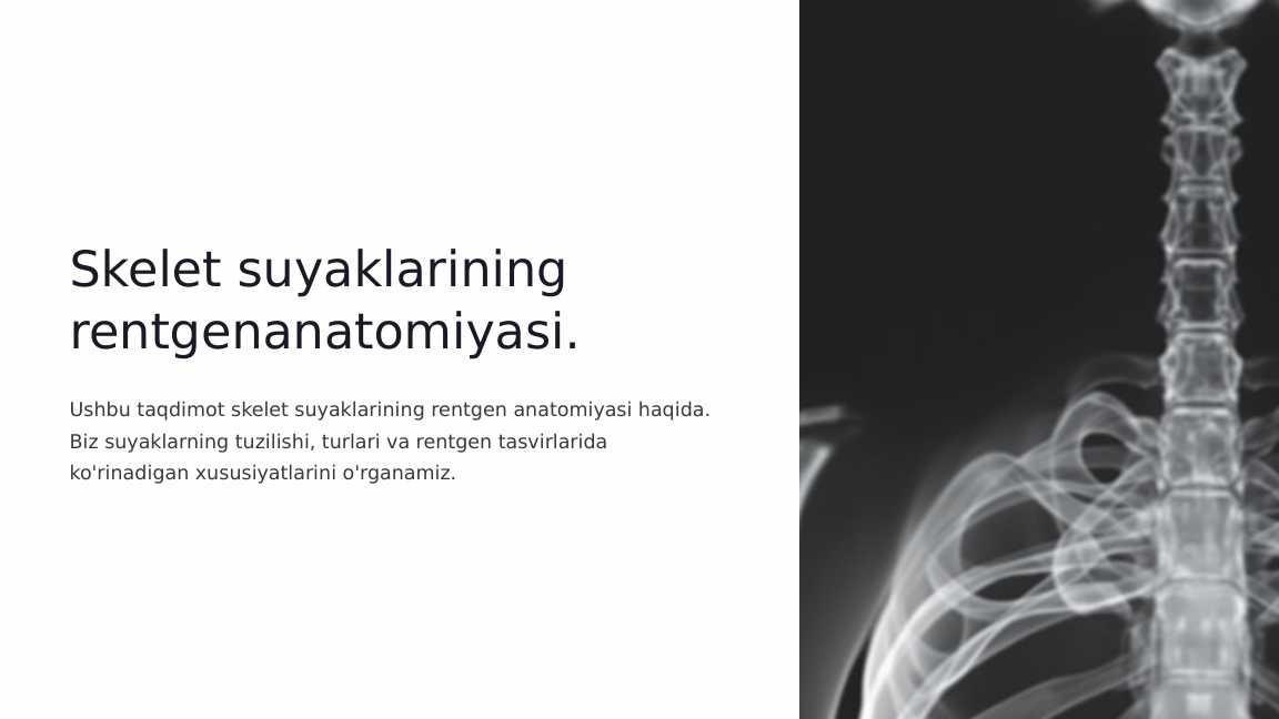 Skelet suyaklarining rentgenanatomiyasi