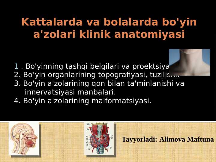 Kattalarda va bolalarda bo'yin a'zolari klinik anatomiyasi