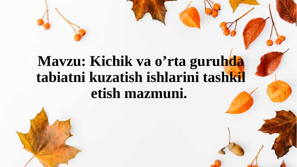 Kichik va o’rta guruhda tabiatni kuzatish ishlarini tashkil etish mazmuni