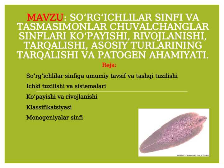 So‘rg‘ichlilar sinfi va tasmasimonlar chuvalchanglar sinflari ko‘payishi, rivojlanishi, tarqalishi, asosiy turlarining tarqalishi va patogen ahamiyati