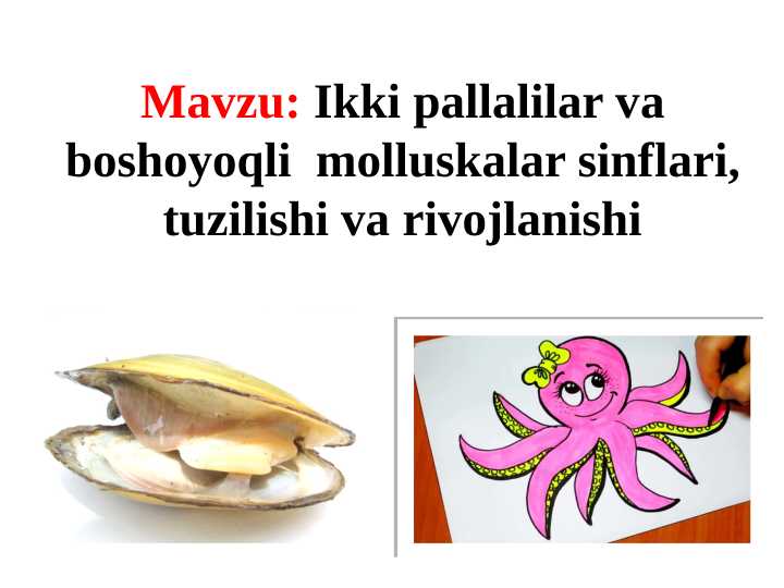 Ikki pallalilar va boshoyoqli  molluskalar sinflari, tuzilishi va rivojlanishi