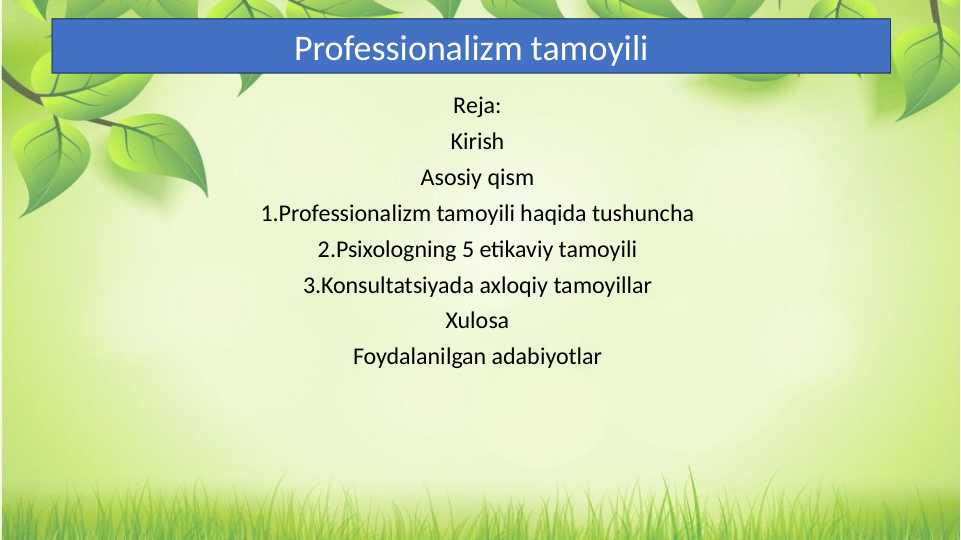 professionalizm tamoyili.pptx