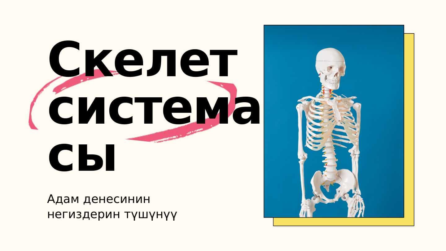 sellerImage