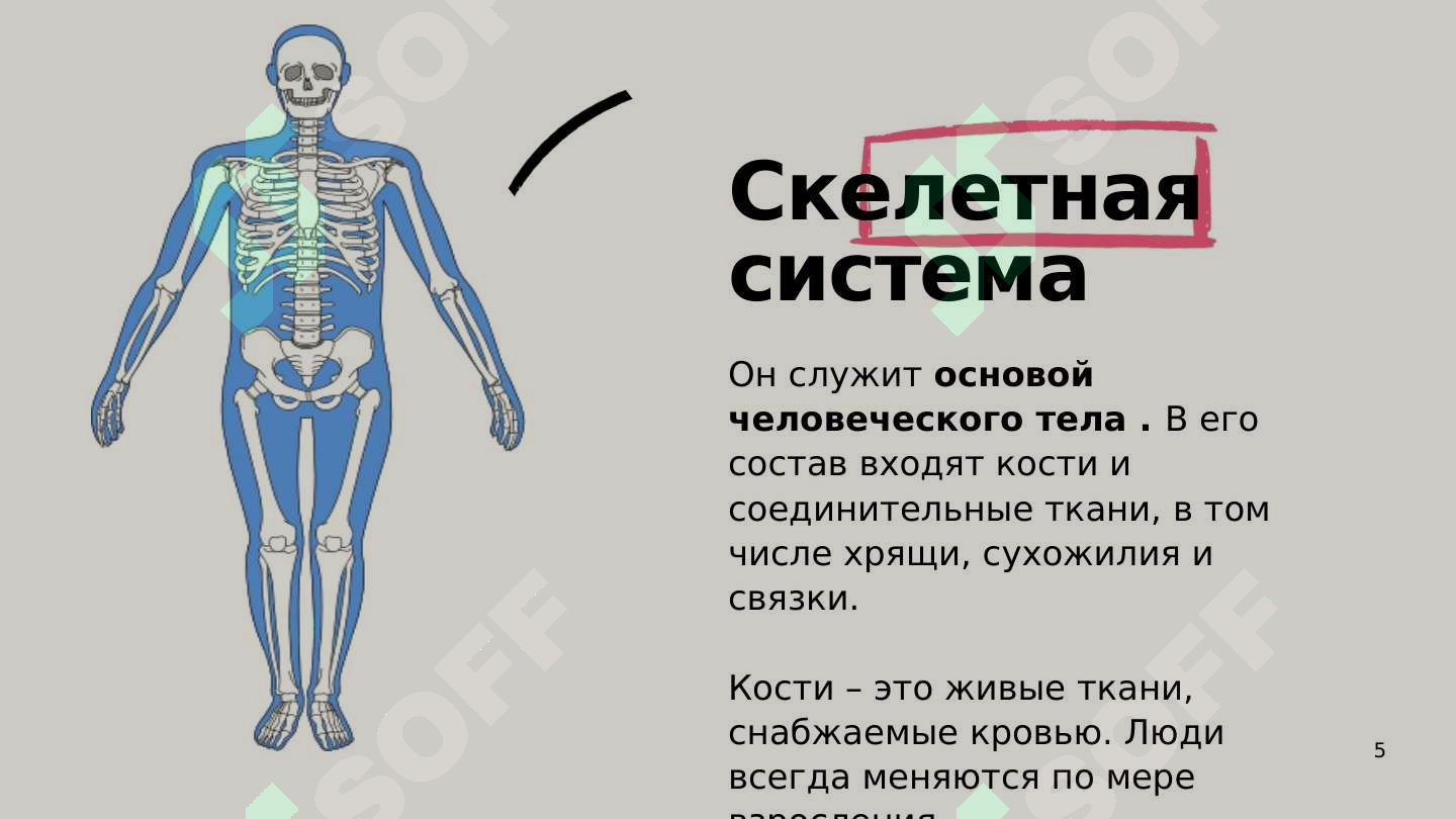 sellerImage