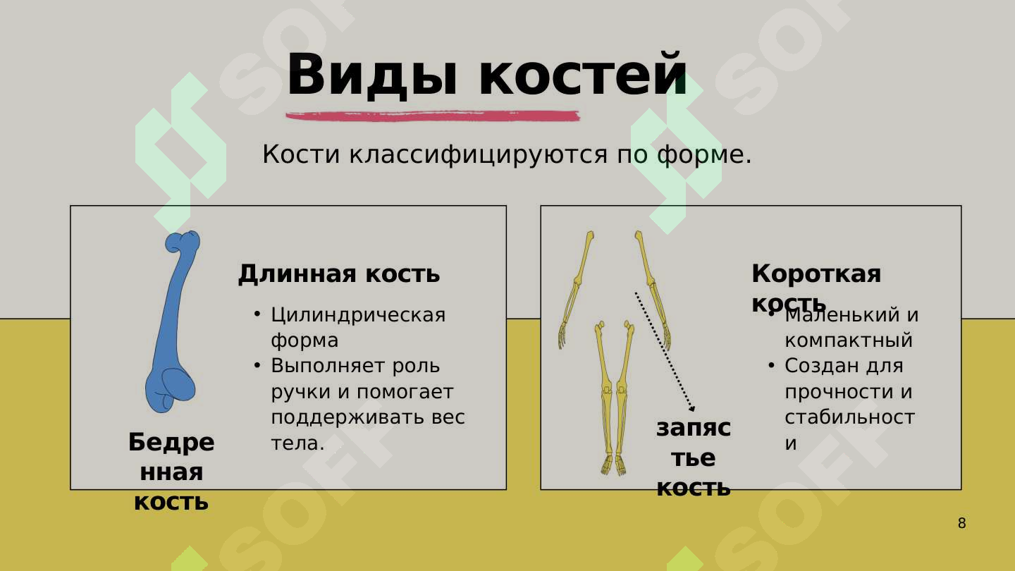 sellerImage