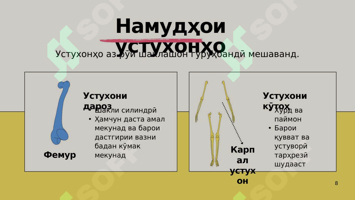sellerImage