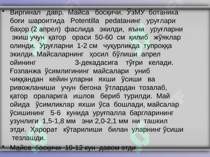 sellerImage