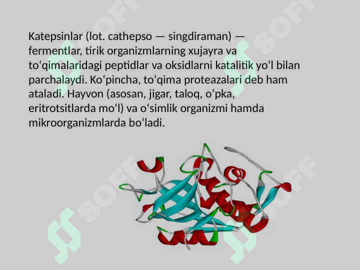 sellerImage