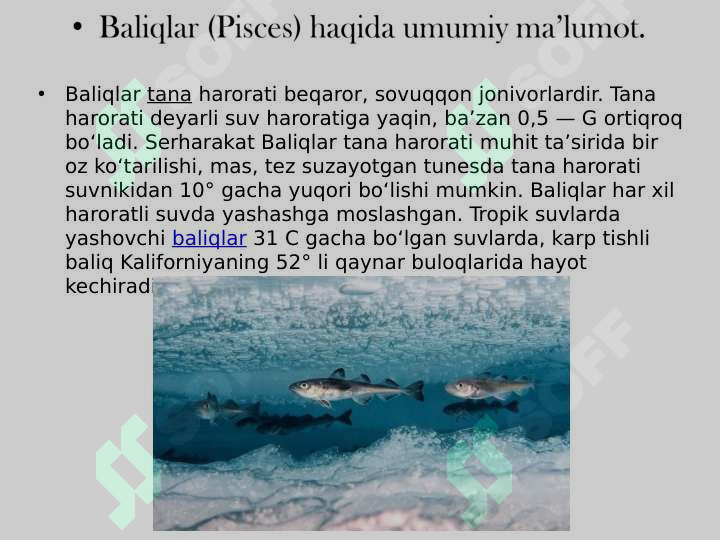 sellerImage