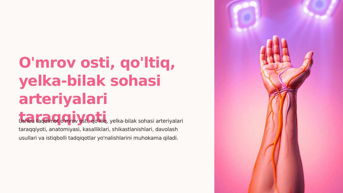 O'mrov osti, qo'ltiq, yelka-bilak sohasi arteriyalari taraqqiyoti 2