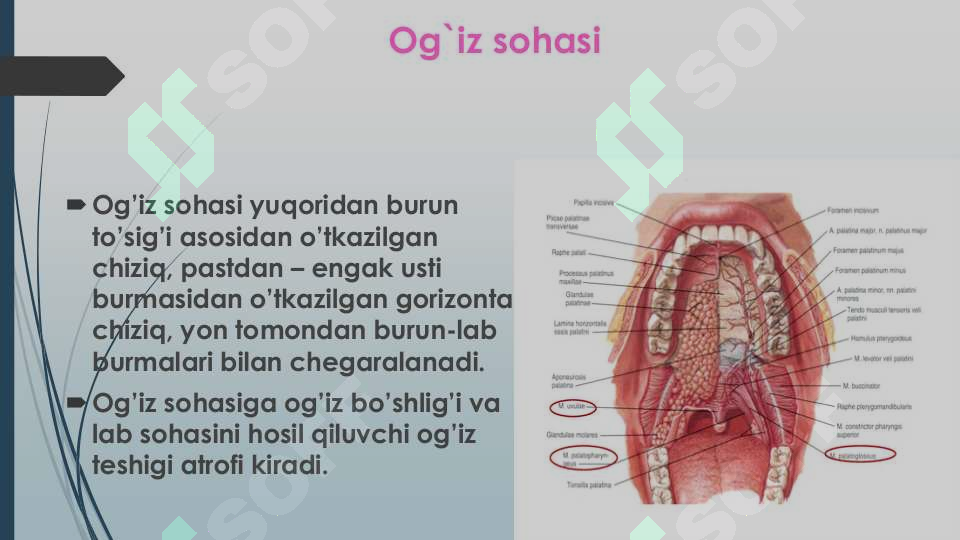 sellerImage