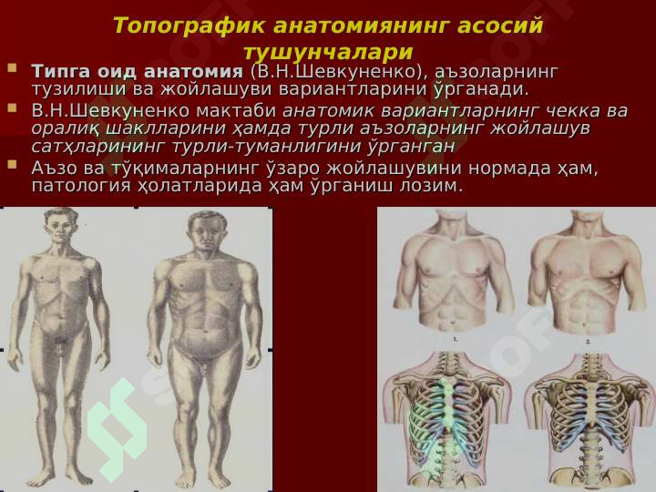 sellerImage