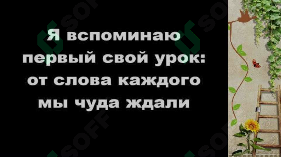 sellerImage