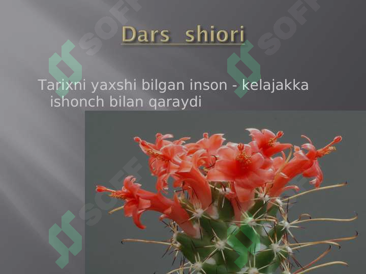 sellerImage
