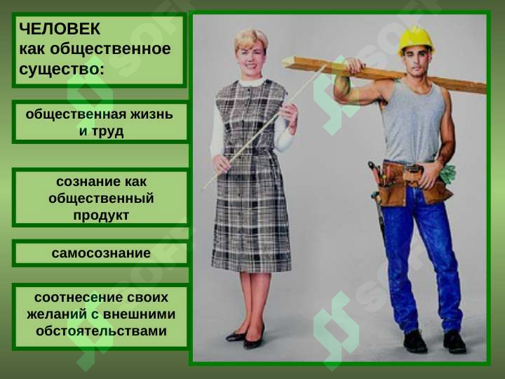 sellerImage