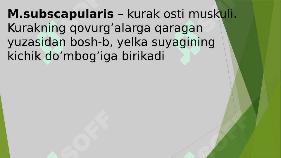 sellerImage