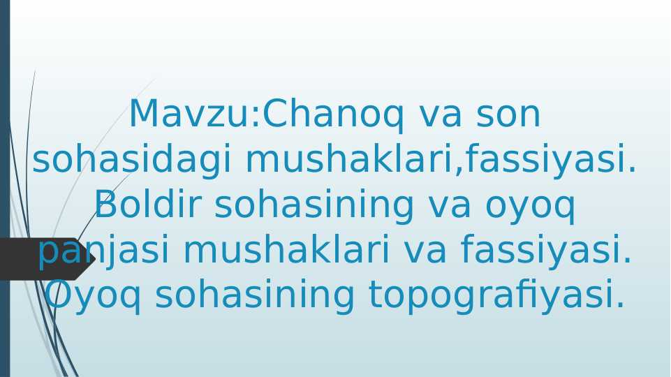 Chanoq va son sohasidagi mushaklari,fassiyasi. Boldir sohasining va oyoq panjasi mushaklari va fassiyasi. Oyoq sohasining topografiyasi