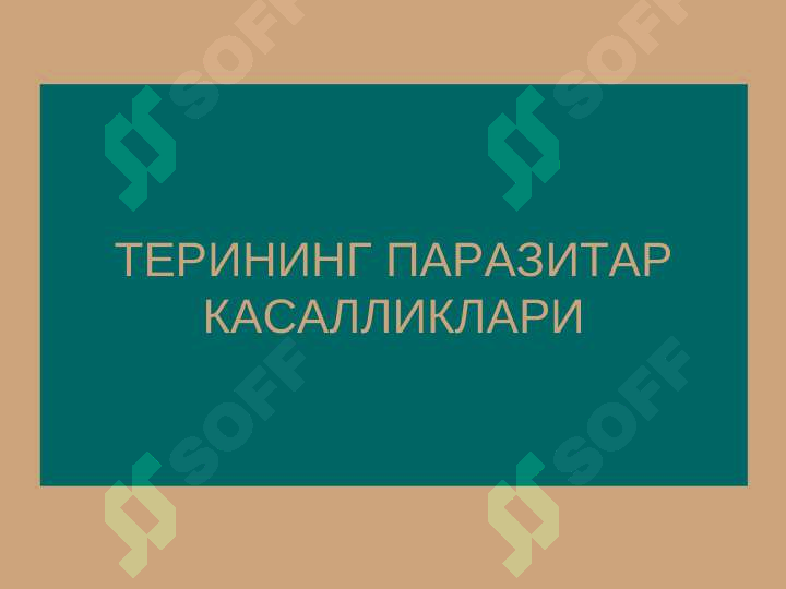 sellerImage