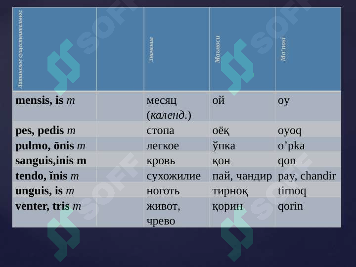 sellerImage