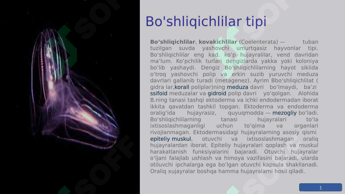 sellerImage
