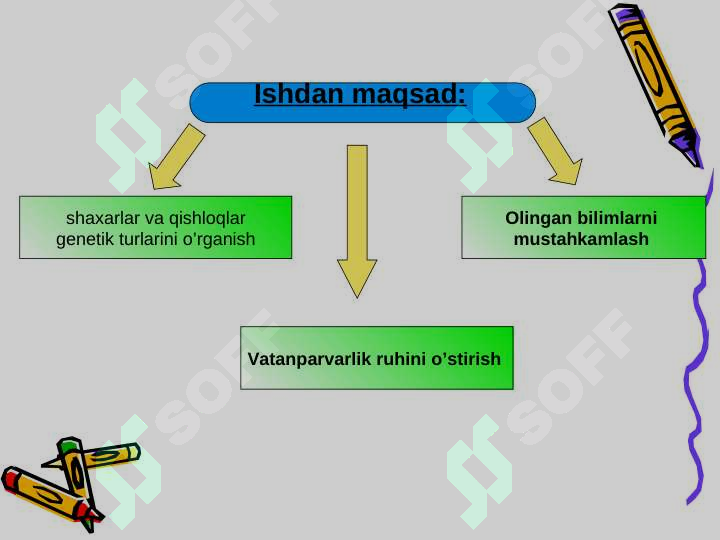 sellerImage