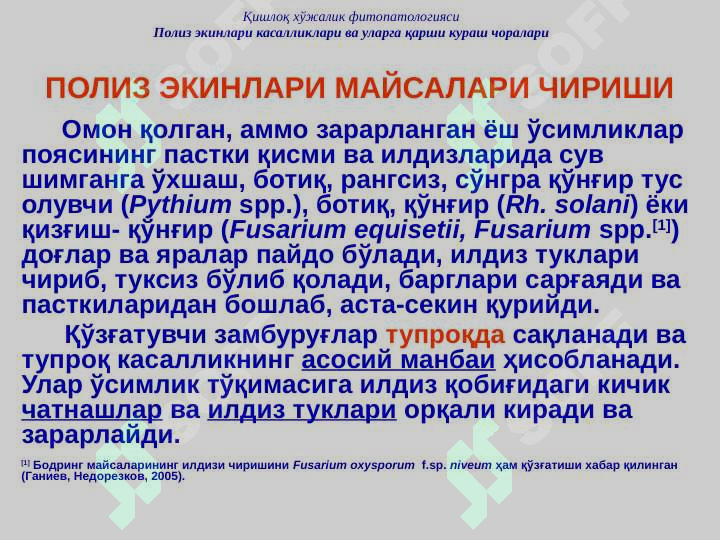 sellerImage