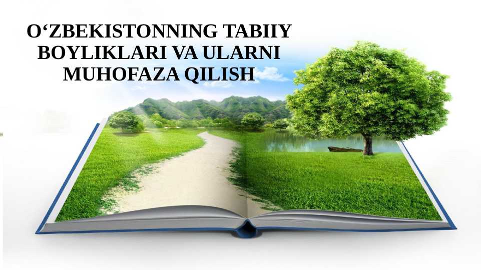 O‘ZBEKISTONNING TABIIY BOYLIKLARI VA ULARNIMUHOFAZA QILISH
